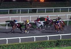 8 Mart Dünya Kadınlar Günü Koşusu'nu 'Miss Beren' kazandı