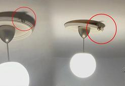 Kuduz rakun dehşeti! Korkunç anlar kamerada...