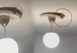 Kuduz rakun dehşeti! Korkunç anlar kamerada...