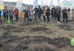 Kadınlar için 30 bin fidan