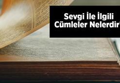 Sevgi İle İlgili Cümleler Nelerdir? İçinde Sevgi Kelimesi Geçen Örnek Cümleler