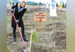 30 bin fidan yeşerecek