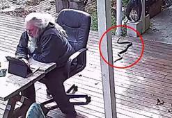 Sinsice gelip bir anda saldırdı! İnternet çalkalanıyor...