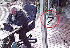 Sinsice gelip bir anda saldırdı! İnternet çalkalanıyor...