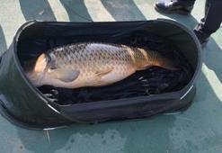 Bu balıklar yarından itibaren avlanamayacak