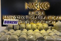 Bursa merkezli 7 ilde narkotik operasyonu: 56 gözaltı