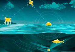 Göcek Koyları etkin bir koruma modeliyle yönetilecek