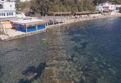 Bodrum'da deniz çekildi, kral yolu gün yüzüne çıktı