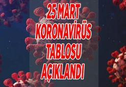 SON DAKİKA 25 MART BUGÜNKÜ KORONAVİRÜS TABLOSU BELLİ OLDU || Türkiye korona vaka sayısı kaç oldu, son durum nedir?