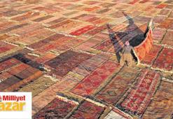 Anadolu’nun halı atlası