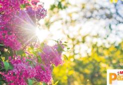 Baharın çağrısına kulak verin