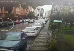 2 pitbullun saldırısından otomobilin üzerine çıkarak canını kurtardı