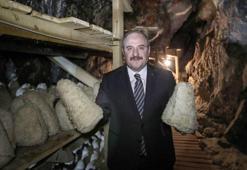 Bakan Varank'tan mağarada üretilen Divle obruk peynirine inceleme