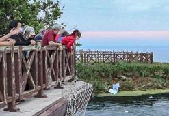 HIDIRELLEZ DUASI-ANLAMI | Hıdırellez'de okunacak dua ve yapılacaklar: Hıdırellez ateşi ne zaman yakılır?