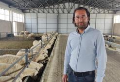 Hibe desteğiyle hayvan çiftliği kurdu