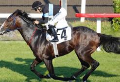 Yarışsever hipodroma akın etti! Final Dance, Gazi favorisi oldu...