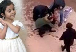 Pitbul vahşetinde tutuklu sanıkların hapsi tahliye edildi!