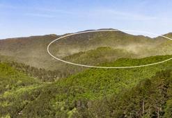 Kazdağları'nda polen fırtınası!