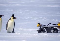 Antarktika'da bir metrelik robot, 20 bin pengueni takip ediyor