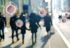 MAYMUN ÇİÇEĞİ VİRÜSÜ nedir, Türkiye'de var mı? Maymun çiçeği virüsü belirtileri nedir, hangi ülkelerde var, aşısı var mı?