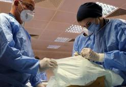 Plastik cerrahi uzmanlarına kadavra üzerinde eğitim