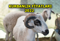KURBAN KESİM FİYATI 2022 NE KADAR? KURBANLIK FİYATLARI NE KADAR? BÜYÜKBAŞ - KÜÇÜKBAŞ KİLO BAZLI FİYATI KAÇ PARA?