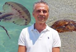 Uzmanlar ‘Pusula denizanalarına’ karşı uyardı: Kesinlikle dokunmayın, gördüğünüzde uzaklaşın