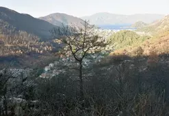 Muğla'da bazı bölgelerde ormanlara giriş yasaklandı