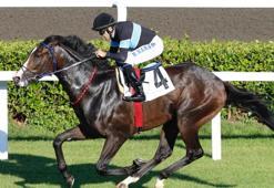 96. Gazi Koşusu öncesi son virajlar dönüldü! Provayı Final Dance kazandı