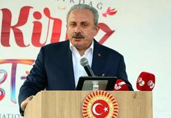 TBMM Başkanı Şentop: Toprak anaya dönmenin tam vaktidir