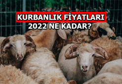 KURBAN FİYATI kaç para? Bu yıl (2022) KURBANLIK FİYATLARI en düşük - en yüksek ne kadar?
