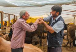 Kurbanlık fiyatları 2022: Küçükbaş - Büyükbaş ne kadar? İstanbul ve diğer illerde kurbanlık fiyatları ve kurban kesim fiyatı kaç para?