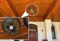 Girişte fark edildi, Vali talimat verdi: Sakın dokunmayın!