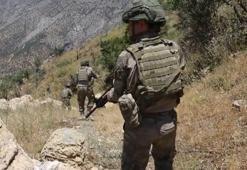 Pençe-Kilit bölgesinde 9 PKK'lı etkisiz hale getirildi