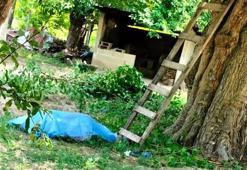 Dut toplamak için çıktığı ağaçtan düşüp öldü