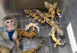 Adım adım takip! 14 ilde dikkat çeken operasyon