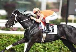 96'ncı Gazi Koşusu yarın koşulacak