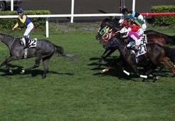 Gazi Koşusu sonuçları 2022: 96. Gazi Koşusu'nu kim kazandı, ikramiye ne kadar?