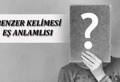 Benzer Kelimesinin Eş Anlamlısı Nedir? Benzerin Eş Anlamlısı Olan Sözcükle