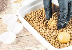 Belçika’da ikinci salmonella krizi
