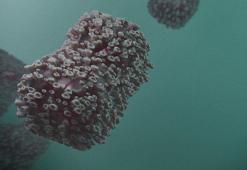 En uzun bulaş zinciri 9 kişi