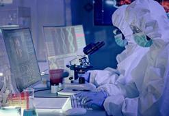 Japonya'da Omicron varyantı BA.2.75'in ilk vakası doğrulandı