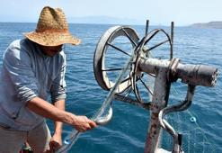 Van Gölü'nde inci kefali için av yasağı sona erdi