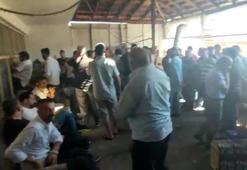 Horoz dövüşü yaptırılan derneğe polis baskını; 46 horoza el konuldu