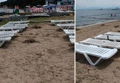 Büyükada'da büyük tehlike! 'Zehirli madde plaj kumuna karıştı'