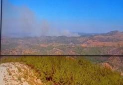 İzmir Seferihisar’da bir orman yangını daha