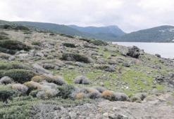 ‘Arkeolojik sit kısım ayrı parselle ayrıldı’