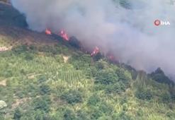 Ormanlık alanda yangın çıktı, söndürme çalışmaları devam ediyor