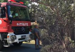 Kocaeli'de çıkan orman yangını kontrol altına alındı