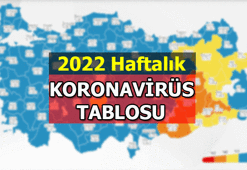 KORONAVİRÜS TABLOSU son dakika durumu yayımlandı mı? 2022 Türkiye geneli Koronavirüs vaka sayısı, vefat eden sayısı kaç oldu?